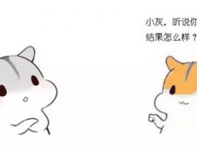 什么是动态规划