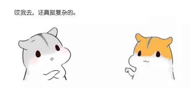 什么是动态规划-图片118