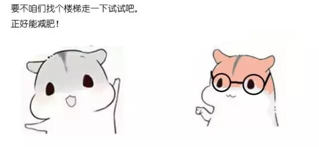 什么是动态规划-图片14