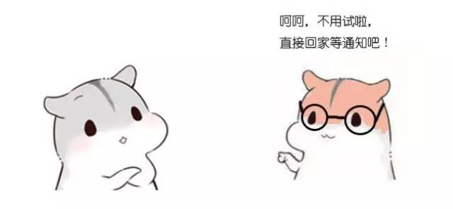 什么是动态规划-图片15