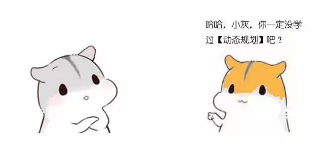 什么是动态规划-图片16