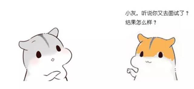 什么是动态规划