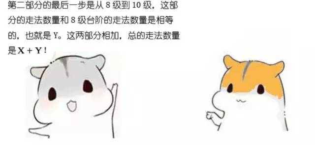 什么是动态规划-图片29