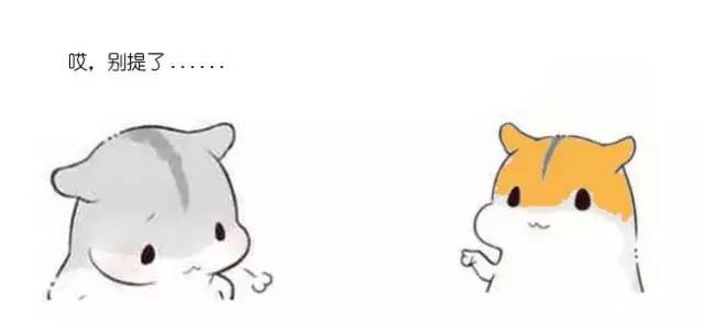 什么是动态规划