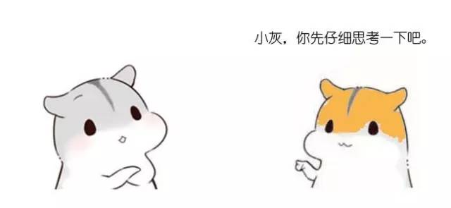 什么是动态规划-图片42