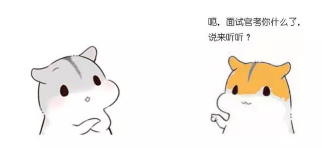 什么是动态规划