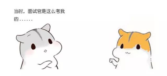 什么是动态规划