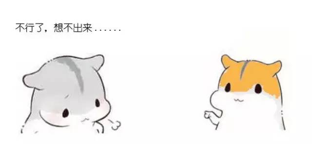 什么是动态规划-图片67