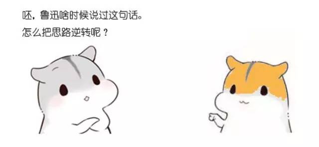 什么是动态规划-图片70