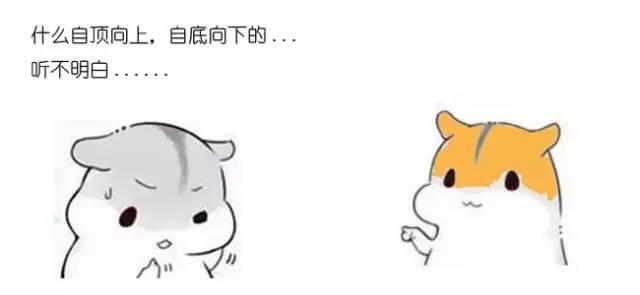 什么是动态规划-图片72